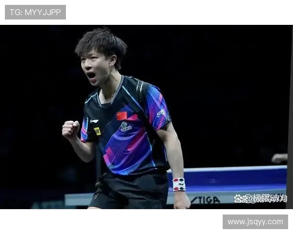 男乒精彩对决德国队全场录像回放与精彩瞬间解析