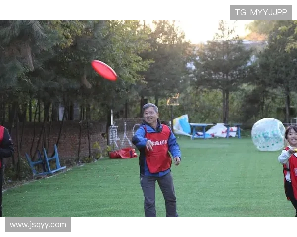 飞盘竞技的魅力与挑战:深入探讨西安飞盘队的战术与团队协作