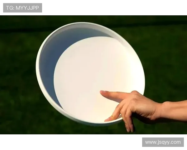 飞盘新手必看:从基础技巧到实战应用的全面入门指南