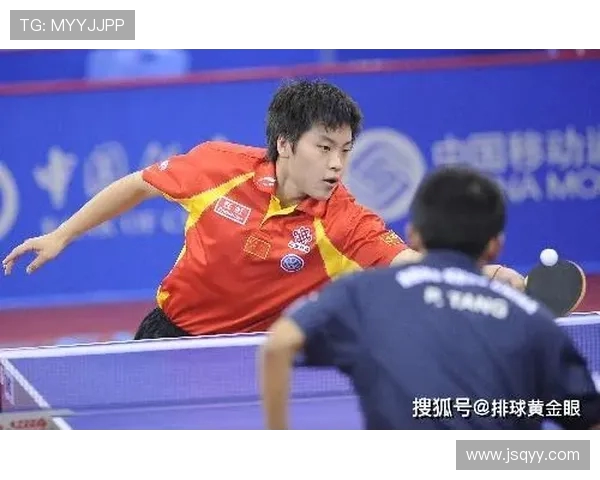 杭州排球队心理素质分析与数据探讨：提升竞技表现的关键因素