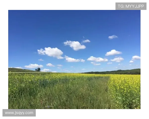 王秀英的极限运动人生探索与深度对话之旅