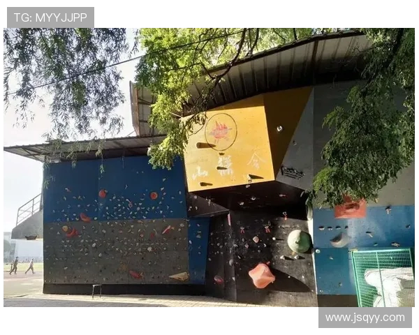 南京攀岩队的蜕变之旅:从传统训练到现代竞技的全新探索 南京攀岩队的蜕变之旅:从传统训练到现代竞技的全新探索