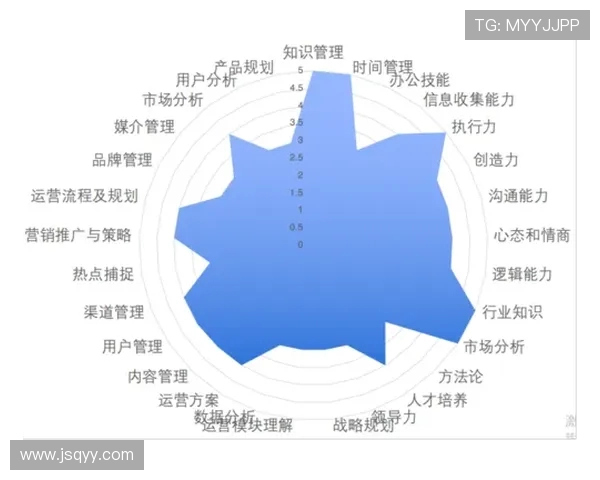 南京排球队的战术创新与运营体系探析